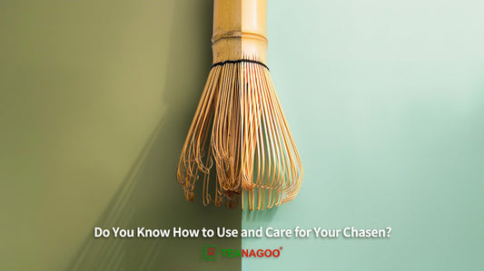 Is Your Chasen Thriving or Dying? The Ultimate Guide to Use & Care